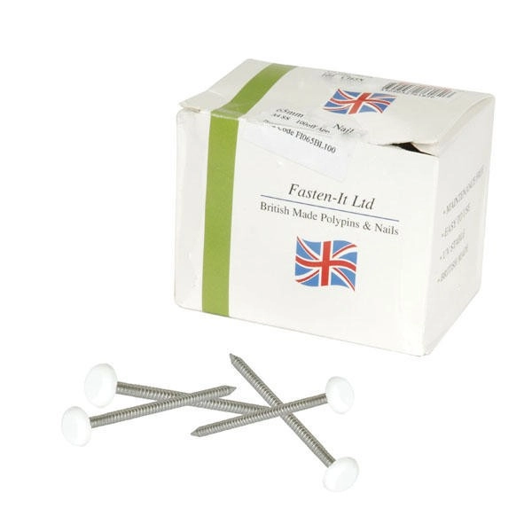 Clou Inox NICOLL Embout Plastique Blanc Pour BELRIV - L.65 Mm - 100 Pièces - CI65B 3 Clou Inox NICOLL Embout Plastique Blanc Pour BELRIV - L.65 Mm - 100 Pièces - CI65B