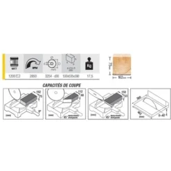 Scie à Onglet FEMI Avec Déligneuse - 1200W Ø254mm - TR245 5 Scie à Onglet FEMI Avec Déligneuse - 1200W Ø254mm - TR245 -Maxouti Magasin SDB75007 2