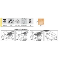 Scie à Onglet FEMI Avec Déligneuse - 1800W Ø250mm - TR235 -Maxouti Magasin SDB75008 2