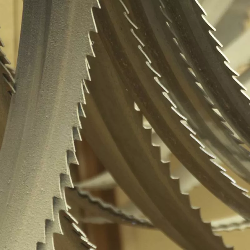 Lame Scie Ruban 6 Z/1" 1735x13x0.9 Mm FEMI 785XL - 3289926 4 Lame Scie Ruban 6 Z/1" 1735x13x0.9 Mm FEMI 785XL - 3289926 – Image 2